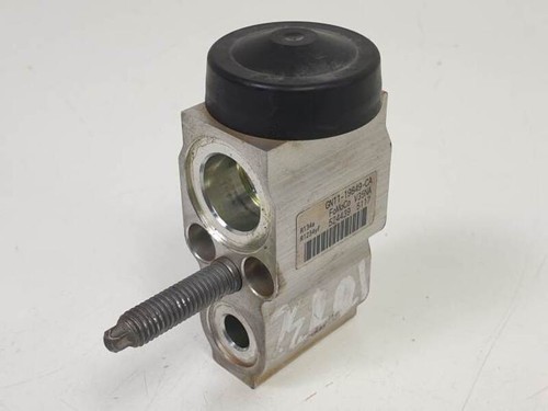 Gn1119849ca expansionventil - gn1119849ca,