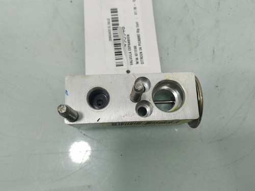 A31101900 expansionventil