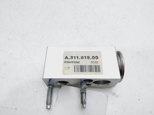 A31101900 expansionventil