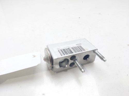 A31101900 expansionventil für